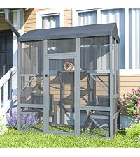 72 inch Large Catio