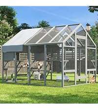 Extra Large Catio