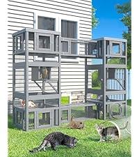 4 in 1 Catio Outdoor