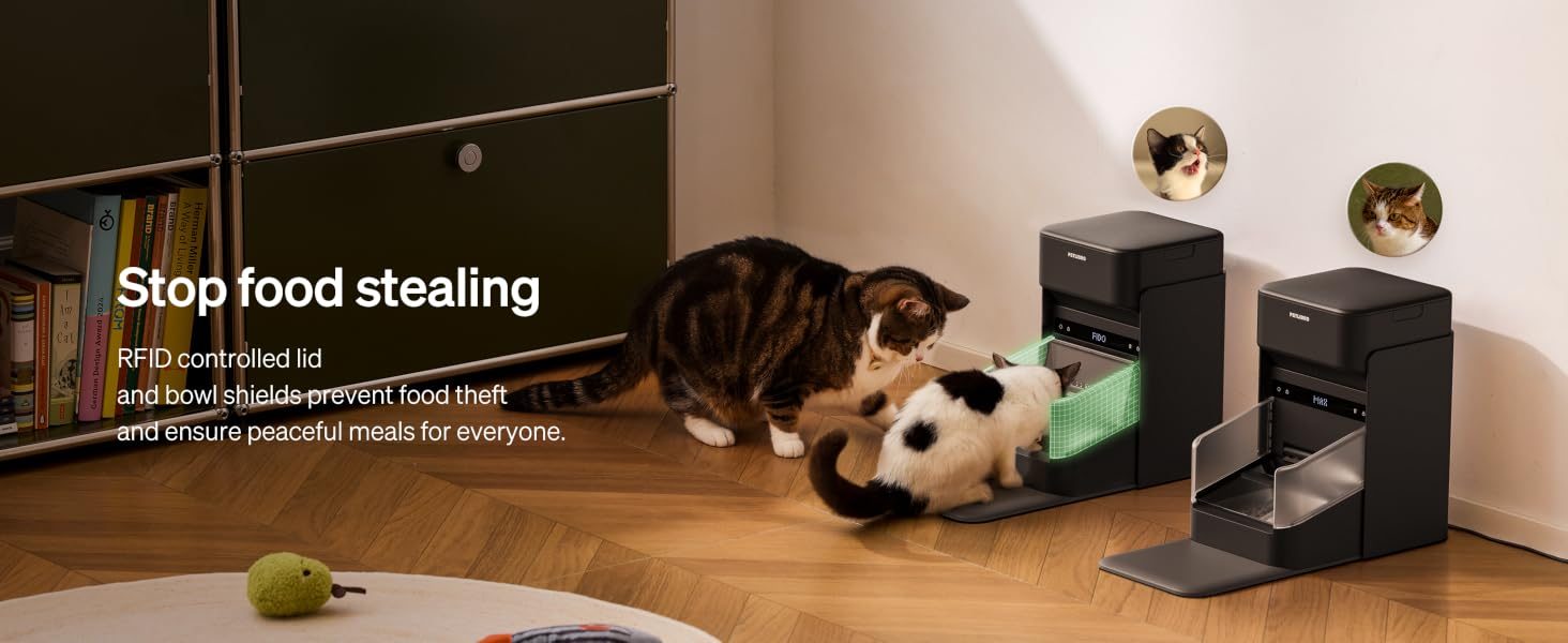 Stops food stealing between cats